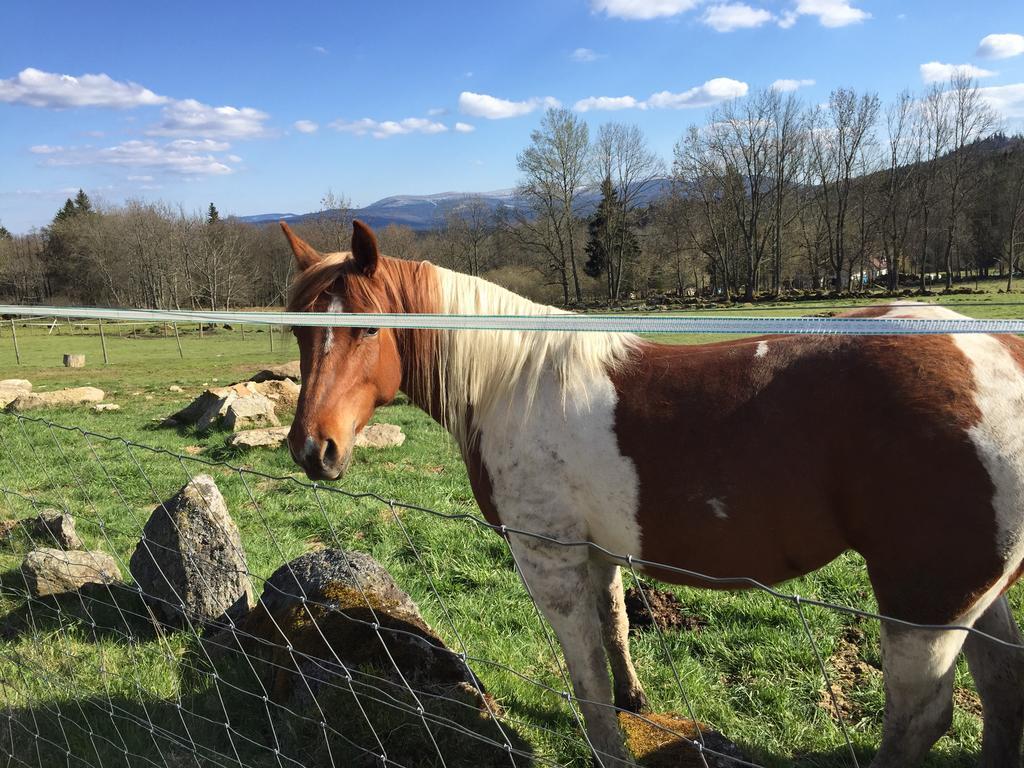 Penzion Farma Zleby Ceske Zleby エクステリア 写真